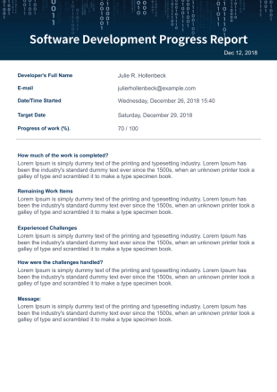 Software Development Progress Report PDF Template