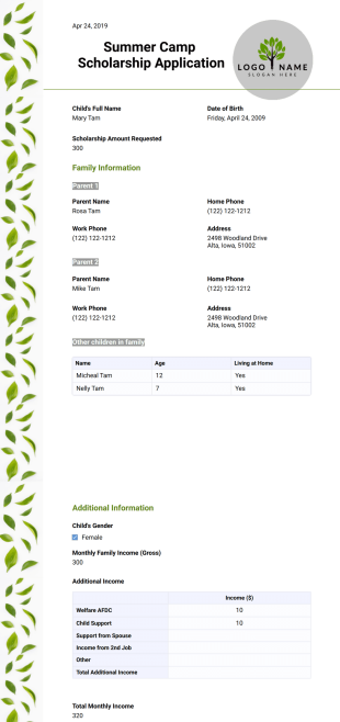 Summer Camp Scholarship Application Template - PDF Templates