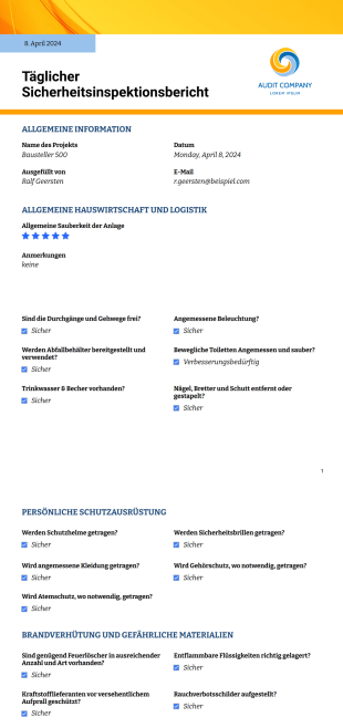 Täglicher Sicherheitsinspektionsbericht - PDF Templates