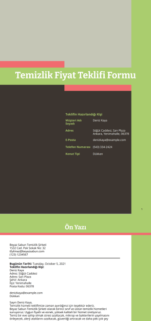 Temizlik Fiyat Teklifi Şablonu - PDF Templates