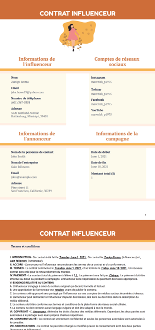 Template Contrat Influenceur - PDF Templates