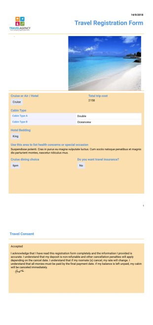 Travel Planning Registration Template - PDF Templates