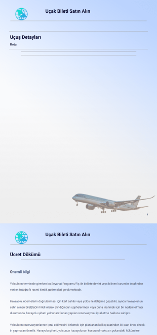 Uçak Bileti Örneği PDF Şablonu