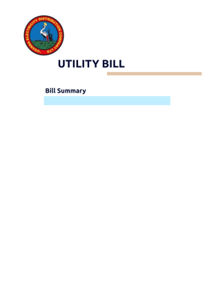 Umeme PDF Template