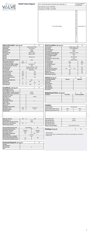 Valve Inspection Report PDF Template