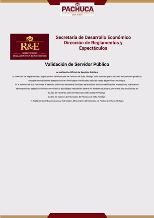verificacion Plantilla PDF