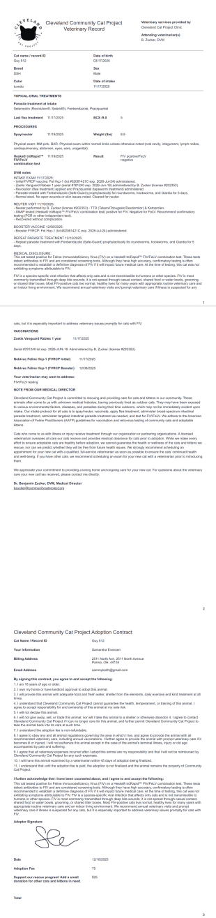 Veterinary Summary - PDF Templates