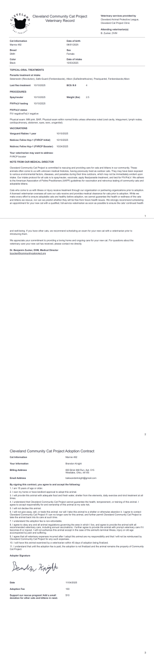 Veterinary Summary - PDF Templates