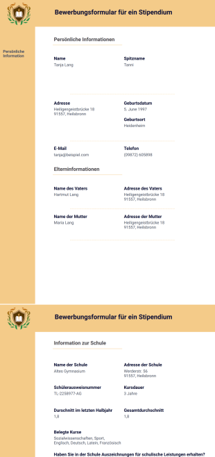 Vorlage für eine Bewerbung um ein Stipendium - PDF-Vorlagen