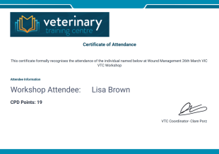 VTC Certificate PDF Template