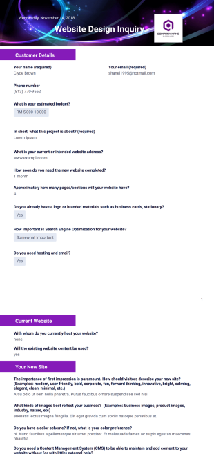 Website Design Inquiry PDF Template