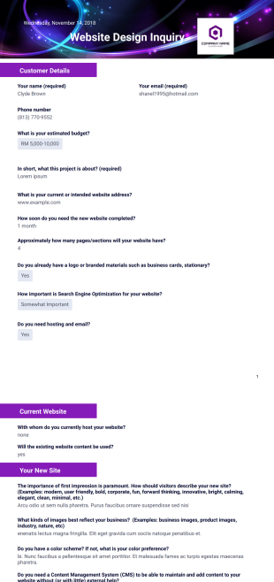 Website Design Inquiry - PDF Templates