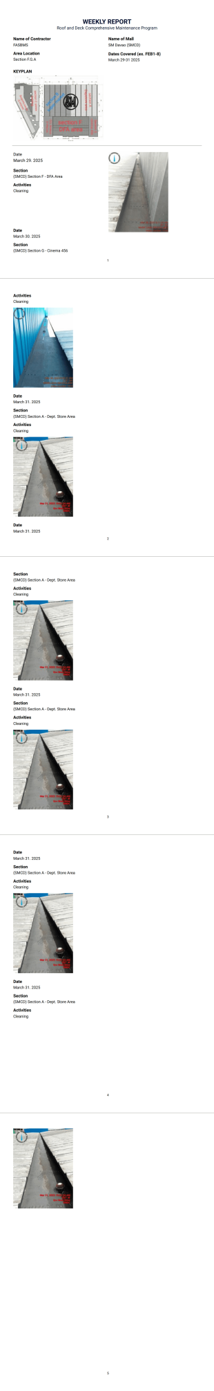 Weekly Report PDF Template
