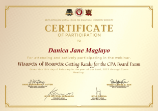 Wizards of Boards Certificate of Participation - PDF Templates