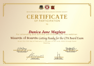 Wizards of Boards Certificate of Participation PDF Template