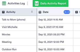 Activity Log Template Spreadsheet Template