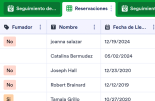 Administración de Reservas de Hotel Plantilla de Hoja de Cálculo