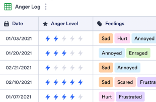 Anger Management Spreadsheet Template