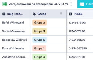 Arkusz Śledzenia Szczepień COVID-19 Template