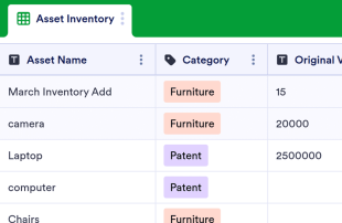 Asset Inventory Template Spreadsheet Template