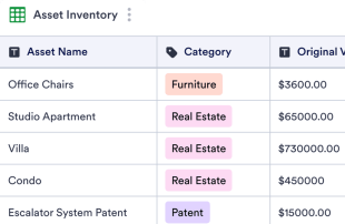 Asset Inventory Template