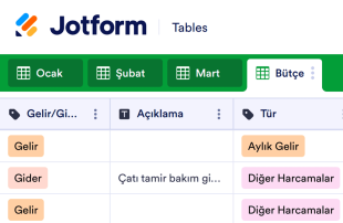 Aylık Bütçe Tablosu Template