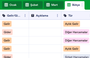 Aylık Bütçe Tablo Şablonu