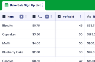 Bake Sale Sign Up Spreadsheet Template
