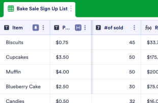 Bake Sale Sign Up Spreadsheet Template