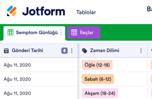 Baş Ağrısı Kayıt Tablo Şablonu