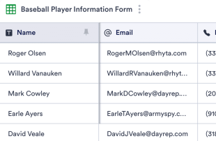 Baseball Roster Template Spreadsheet Template