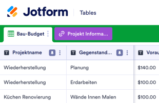 Bau-Budget Vorlage Template