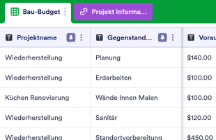 Bau-Budget Vorlage Tabellenvorlage