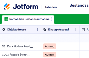 Bestandsaufnahme möblierter Immobilien Tabellenvorlage