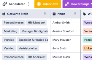 Bewerbungs-Nachverfolgung Template