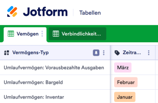 Bilanz-Vorlage Template