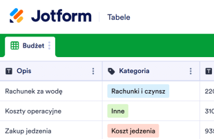 Budżet Restauracji Template
