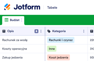 Budżet Restauracji Template