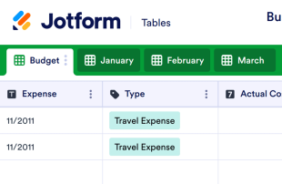 Business Budget Template