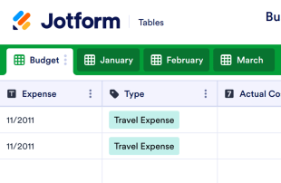 Business Budget Template Spreadsheet Template