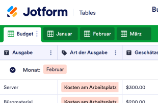 Business Budget Vorlage Tabellenvorlage