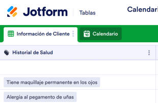Calendario de Citas para Salón Estético Plantilla de Hoja de Cálculo