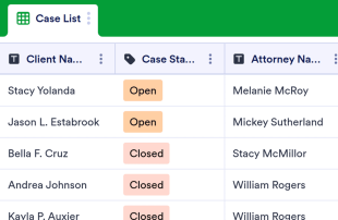 Case Management Spreadsheet Template