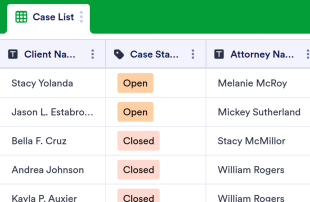 Case Management Spreadsheet Template