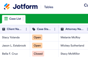 Case Management Spreadsheet Template