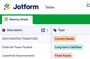 Classified Balance Spreadsheet Template