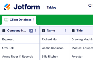 Client Database Template