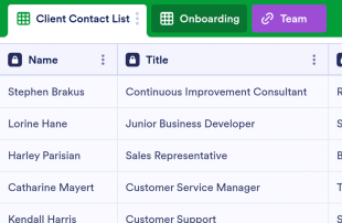 Client Onboarding Spreadsheet Template