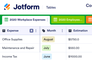 Company Budget Template