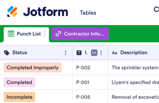 Construction Punch List Template